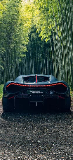 布加迪 Tourbillon Asia Roadshow 高清手机竖屏壁纸